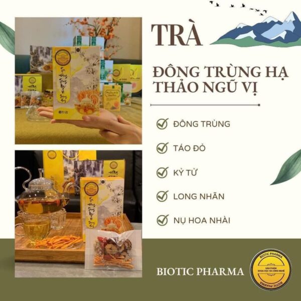 Dong trung ha thao ngu vi tra